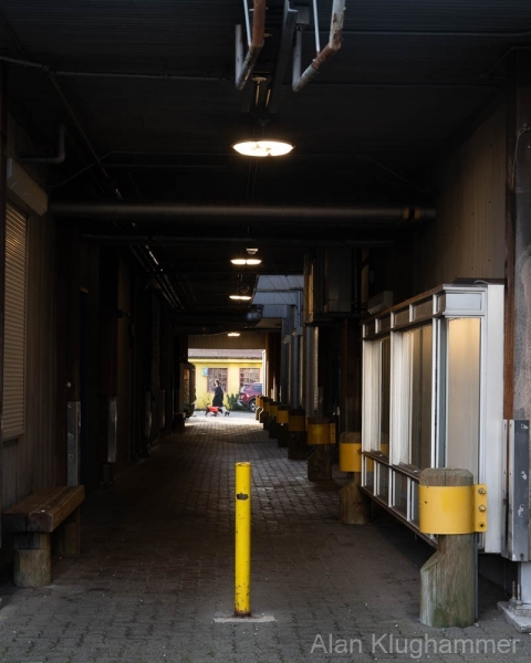 AlanKlughammer.com_20251229-_AZ75180