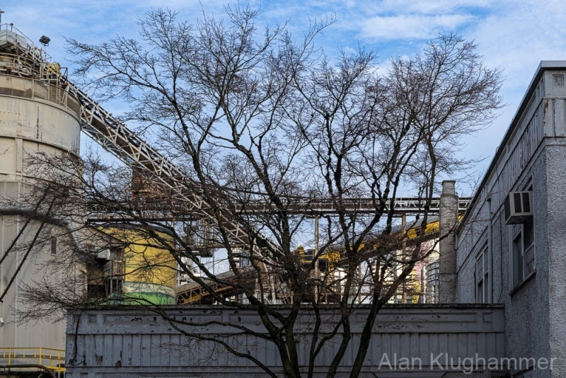 AlanKlughammer.com_20251229-_AZ75196