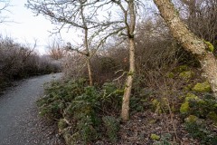 AlanKlughammer.com_20250119-_AZ70811