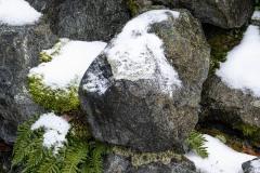 AlanKlughammer.com_20250202-_AZ71180