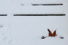 AlanKlughammer.com_20250202-_AZ71194