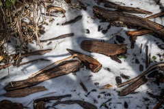 AlanKlughammer.com_20250202-_AZ71232