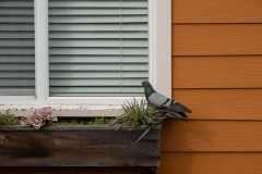 AlanKlughammer.com_20250301-_AZ71413