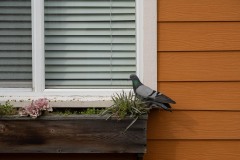 AlanKlughammer.com_20250301-_AZ71413