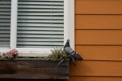 AlanKlughammer.com_20250301-_AZ71414