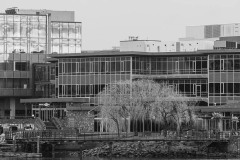 AlanKlughammer.com_20250308-_AZ71514