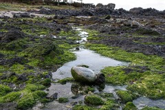 AlanKlughammer.com_20250331-_AZ71570