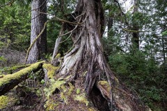 AlanKlughammer.com_20250331-_AZ71580-2