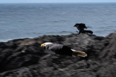 AlanKlughammer.com_20250331-_AZ71659