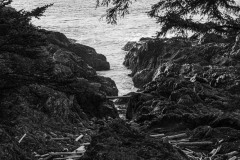 AlanKlughammer.com_20250401-_AZ71830