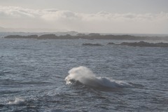 AlanKlughammer.com_20250401-_AZ72004