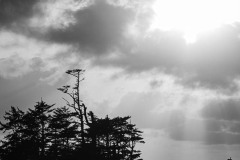 AlanKlughammer.com_20250401-_AZ72462