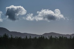 AlanKlughammer.com_20250402-_AZ72610
