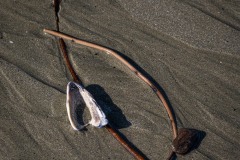 AlanKlughammer.com_20250402-_AZ72615