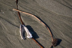 AlanKlughammer.com_20250402-_AZ72615
