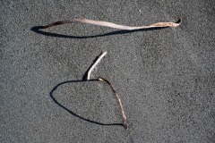 AlanKlughammer.com_20250402-_AZ72632