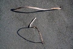 AlanKlughammer.com_20250402-_AZ72632