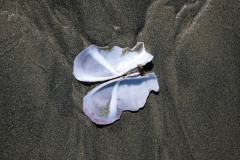 AlanKlughammer.com_20250402-_AZ72669