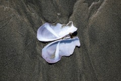 AlanKlughammer.com_20250402-_AZ72669