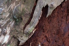 AlanKlughammer.com_20250403-_AZ72756