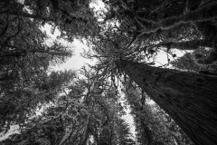 AlanKlughammer.com_20250404-_AZ72839