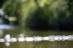 AlanKlughammer.com_20250413-_AZ72925