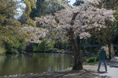 AlanKlughammer.com_20250413-_AZ72933