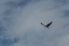 AlanKlughammer.com_20250418-_AZ73025