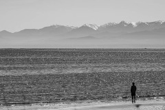 AlanKlughammer.com_20250418-_AZ73073