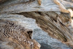 AlanKlughammer.com_20250419-_AZ73116