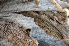 AlanKlughammer.com_20250419-_AZ73116