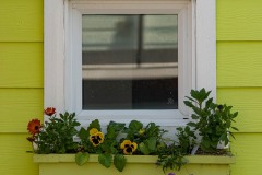 AlanKlughammer.com_20250426-_8506069