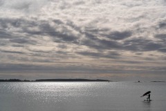 AlanKlughammer.com_20250503-_AZ73176