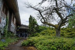AlanKlughammer.com_20250510-20250510-_AZ73196-2