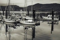 AlanKlughammer.com_20250510-_AZ73179