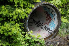 AlanKlughammer.com_20250510-_AZ73187
