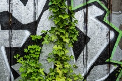 AlanKlughammer.com_20250510-_AZ73197