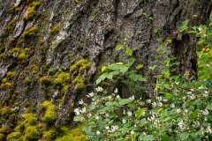 AlanKlughammer.com_20250510-_AZ73214
