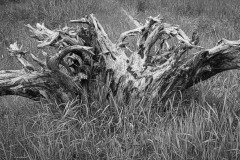 AlanKlughammer.com_20250510-_AZ73253