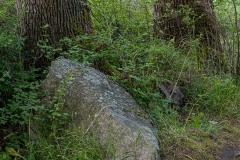 AlanKlughammer.com_20250601-_AZ73298
