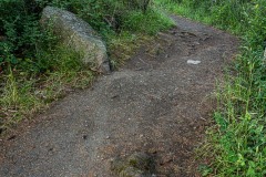 AlanKlughammer.com_20250601-_AZ73299