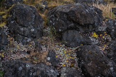 AlanKlughammer.com_20250601-_AZ73308
