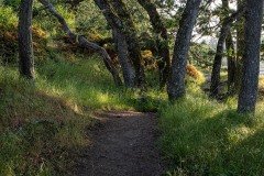 AlanKlughammer.com_20250601-_AZ73314
