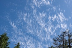 AlanKlughammer.com_20250607-_AZ73354