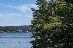 AlanKlughammer.com_20250607-_AZ73360