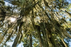 AlanKlughammer.com_20250607-_AZ73362