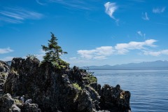AlanKlughammer.com_20250607-_AZ73364