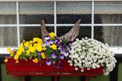 AlanKlughammer.com_20250622-_8506148