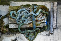 AlanKlughammer.com_20250628-_AZ73423