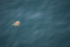 AlanKlughammer.com_20250628-_AZ73424